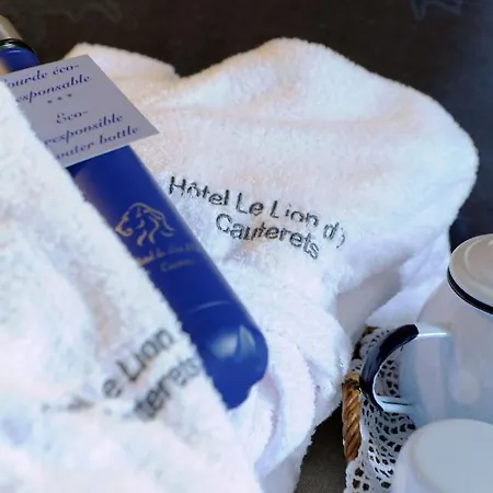 金狮大酒店 3* 科特雷