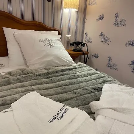 金狮大酒店 科特雷